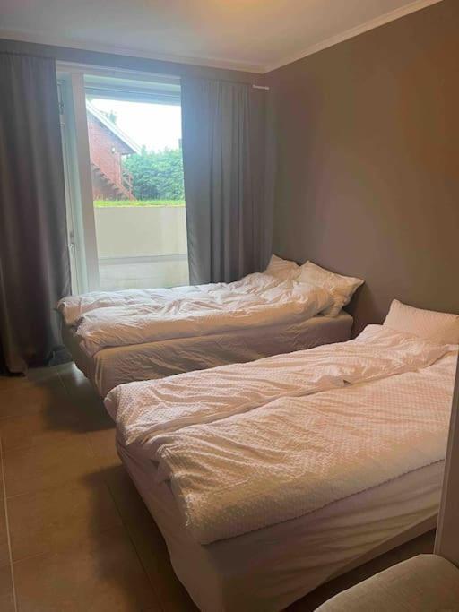 Fin Leilighet I Rolig Omrade I Trondheim Appartement Hoiset Buitenkant foto
